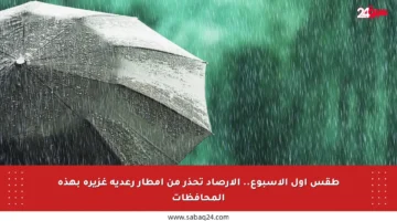 طقس أول الأسبوع.. الأرصاد تحذر من أمطار رعدية غزيرة بهذه المحافظات